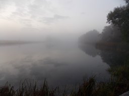 Koppelwedstrijd